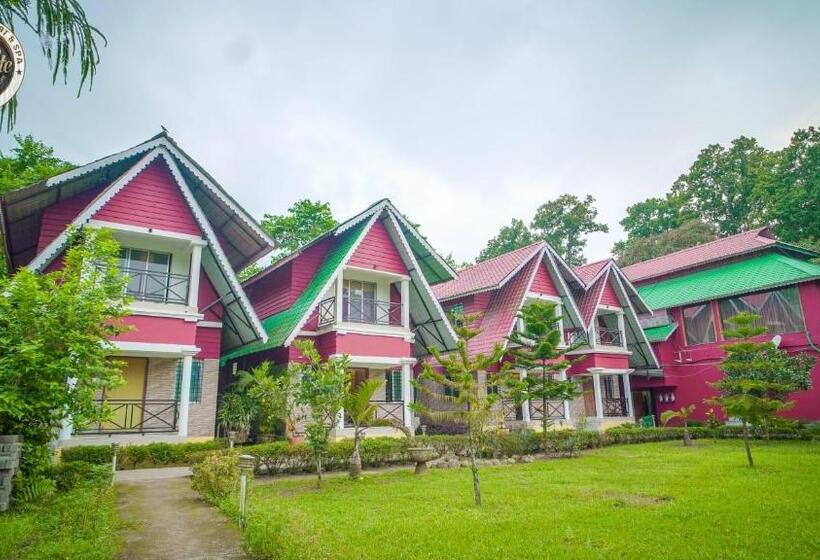 Chocolate Inn Rainforest Resort & Spa