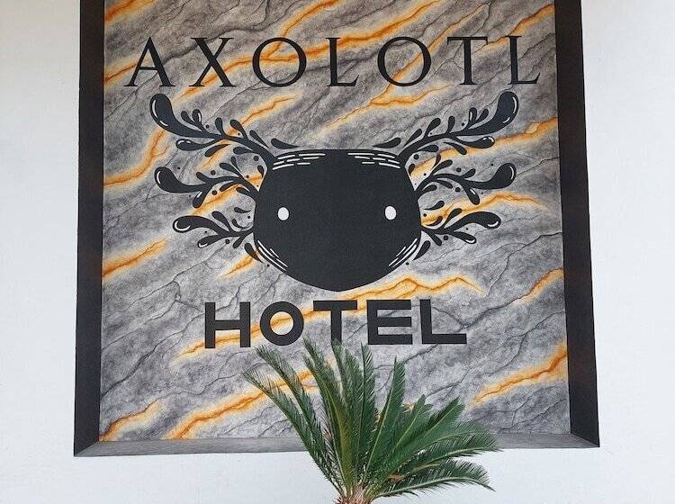 Отель Axolotl