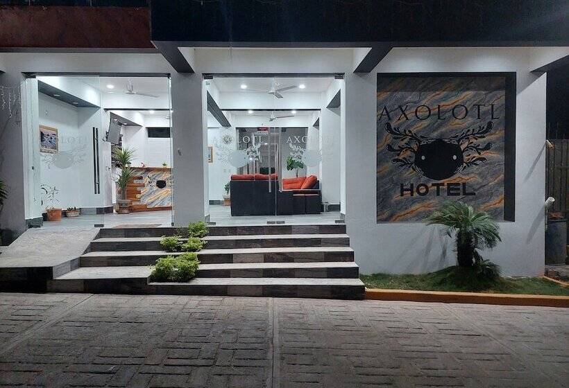 Отель Axolotl