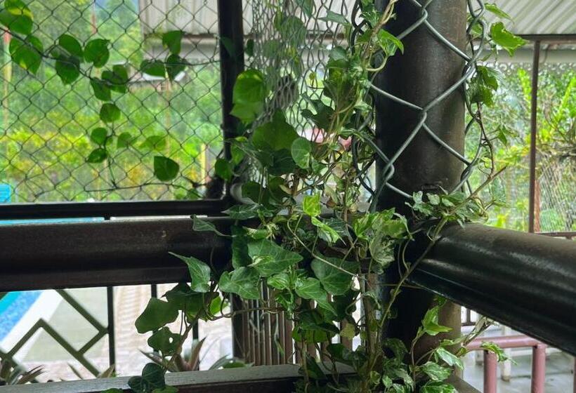 호텔 The Mandarine Retreat