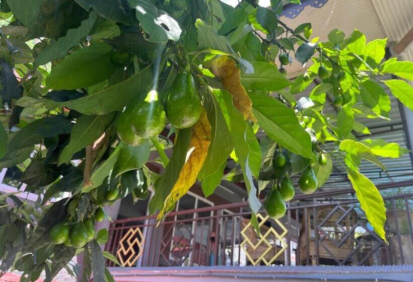 호텔 The Mandarine Retreat