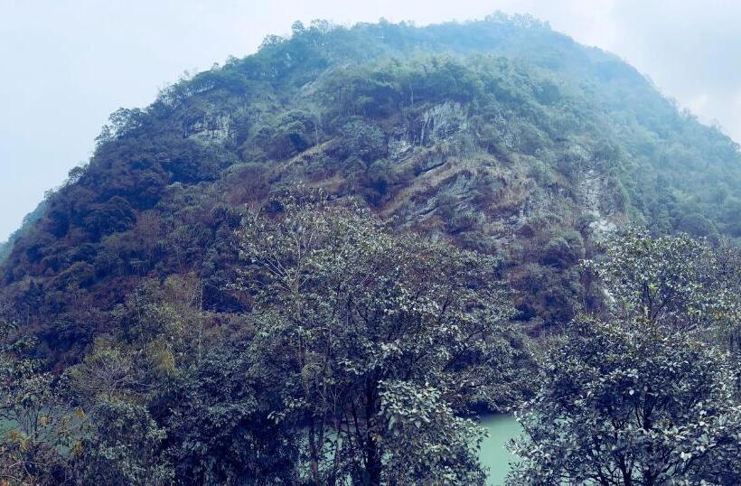 호텔 The Mandarine Retreat