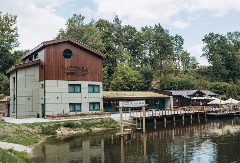 Отель Vodník