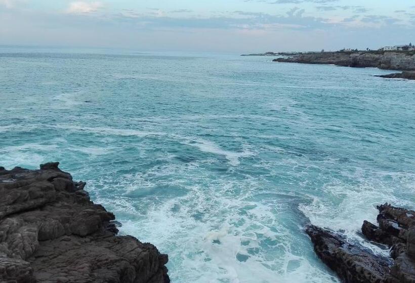 ペンション Cottage In Voëlklip Between Mountain And Sea