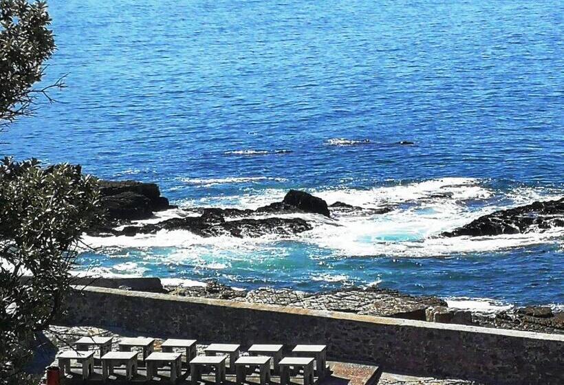 ペンション Cottage In Voëlklip Between Mountain And Sea