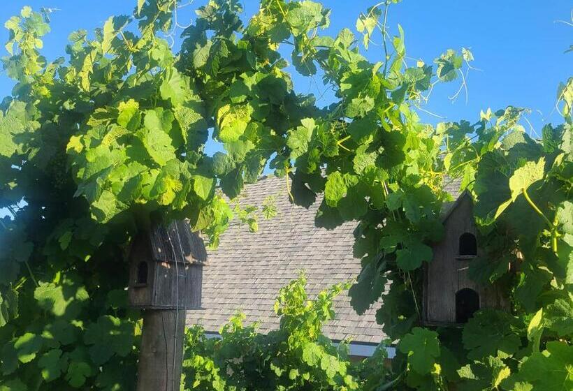 ペンション Hidden Hacienda