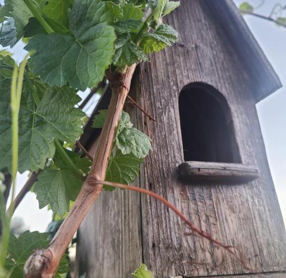 ペンション Hidden Hacienda