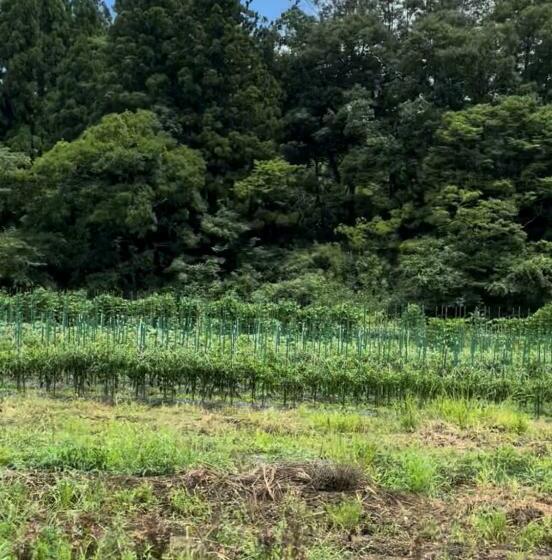 ريوكان Satoyama Hotel Kanenone Tamba