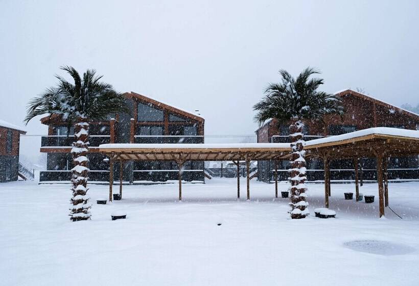 مبيت وإفطار Abant Sedir Park Butik Otel