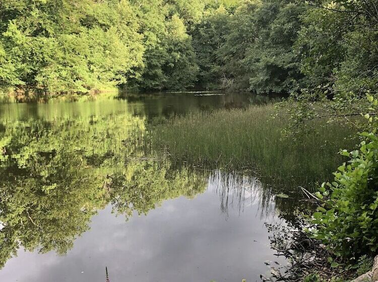 ベッドアンドブレックファースト Château De Montautre