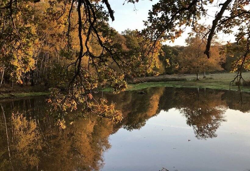 ベッドアンドブレックファースト Château De Montautre