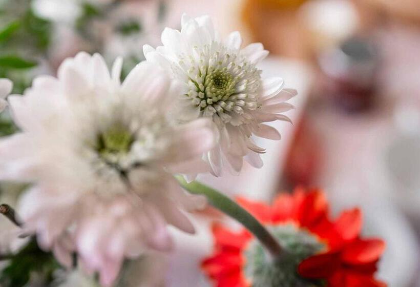 צימר Dama Del Lago