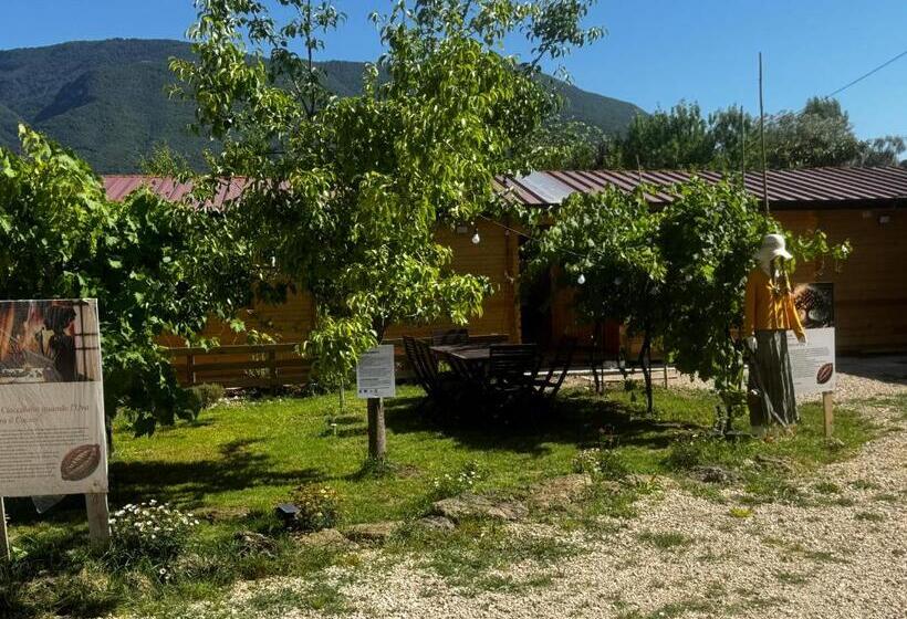 Choco B&b