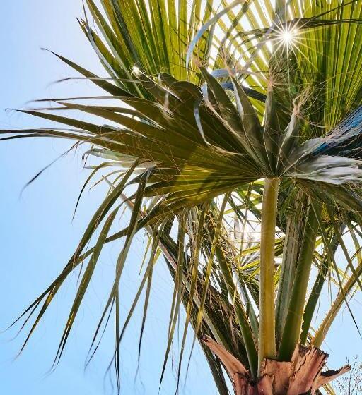 Finca Las Calmas Boutique Hotel & Retreats