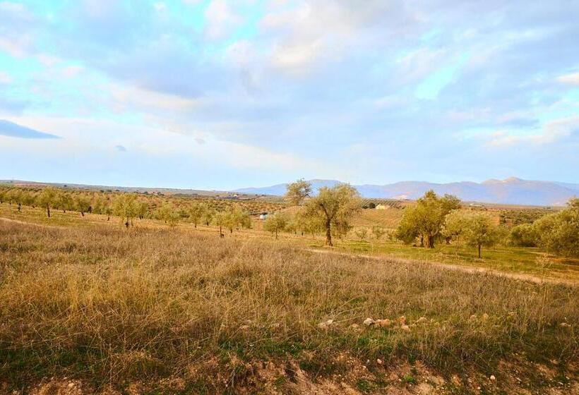 Finca Las Calmas Boutique Hotel & Retreats