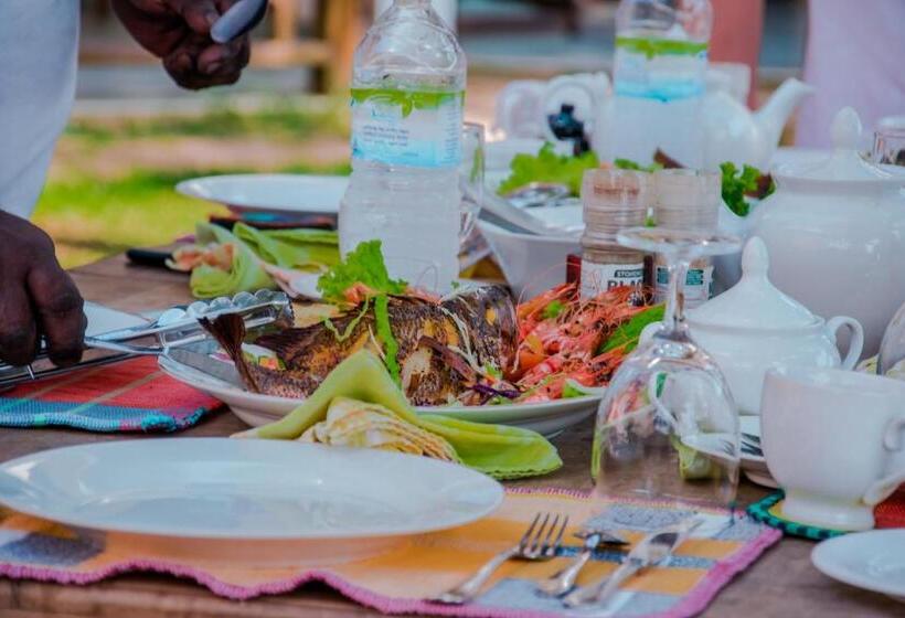 Отель Aussie Swiss