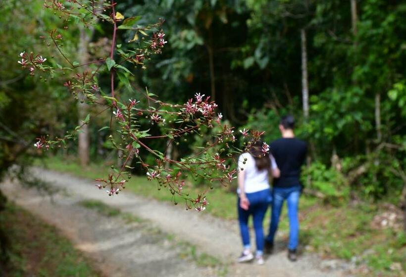 فندق Colinas Altavista