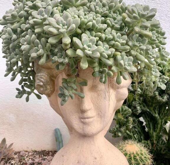 هتل Sunshine Stay Panglao