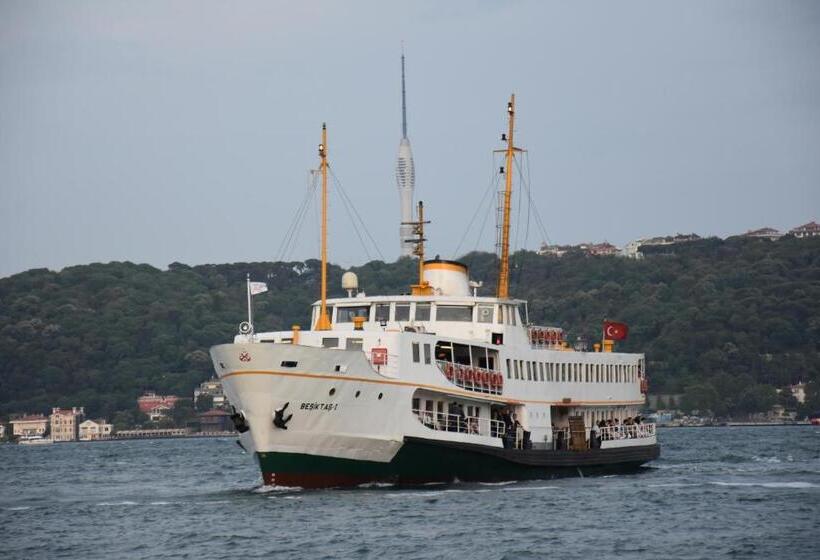 בית מלון כפרי Torch Suit