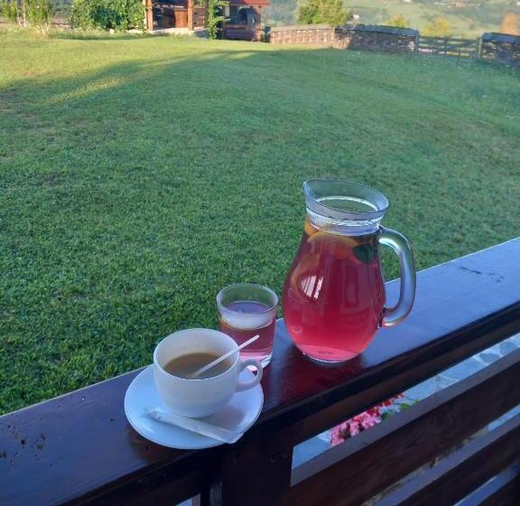 ペンション Casa Din Deal