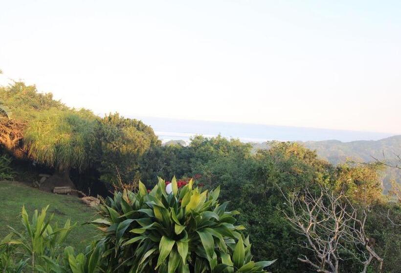 ペンション Cove Rock Stay