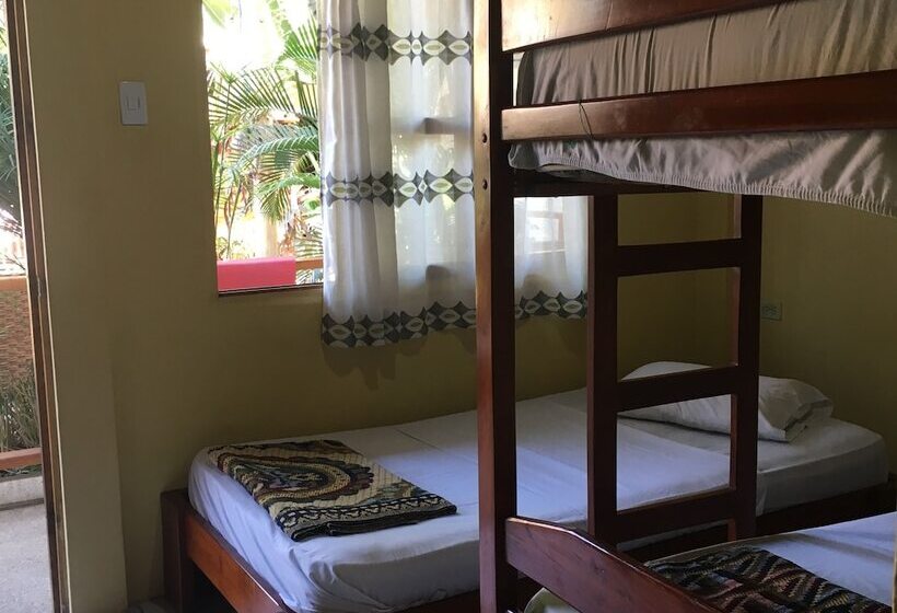 بنسيون Hostal Machalilla