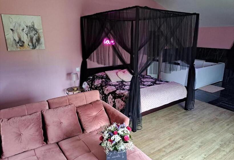 פנסיון La Suite D élise