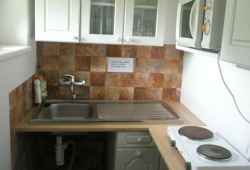 膳宿费 Penzion U Radů