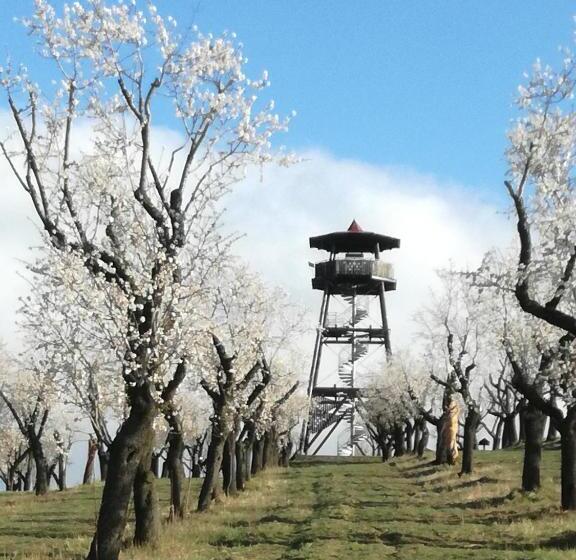 膳宿费 Penzion U Radů