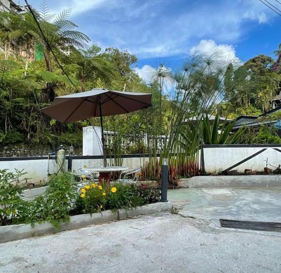 بنسيون Vintage Guesthouse