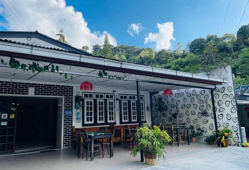 بنسيون Vintage Guesthouse