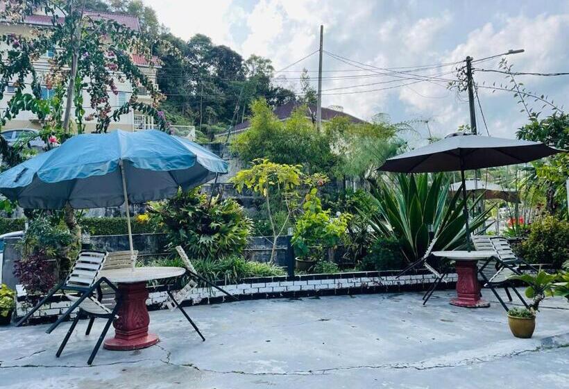 بنسيون Vintage Guesthouse