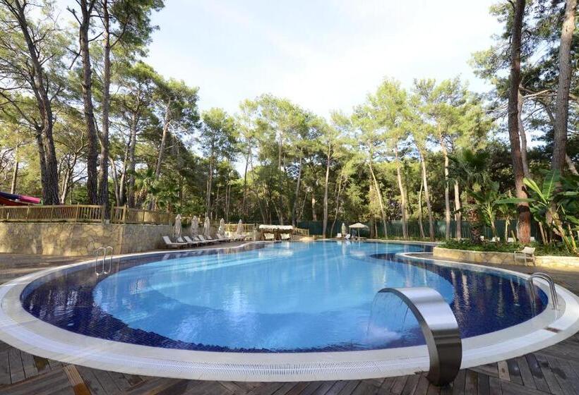 Wome Prime Hotel   Halal All Inclusive