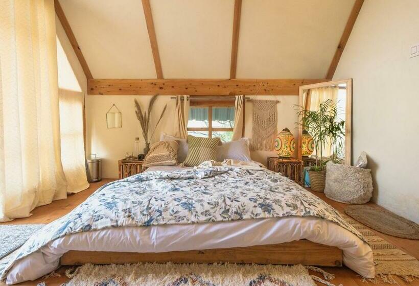 호스텔 Desi Trails