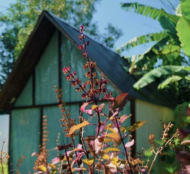 هاستل Hide Away Bungalows In Ben Tre City