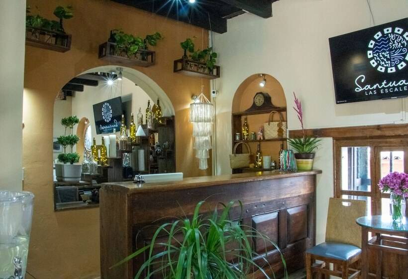 هاستل Hostal Las Escaleras