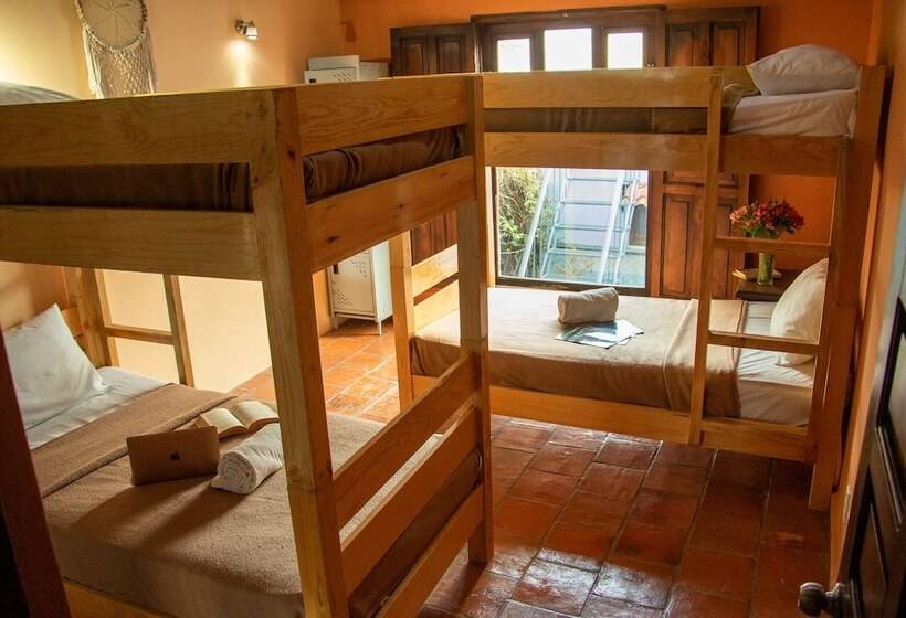 هاستل Hostal Las Escaleras