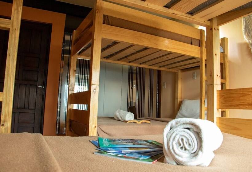 هاستل Hostal Las Escaleras