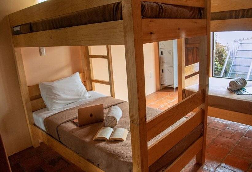 هاستل Hostal Las Escaleras
