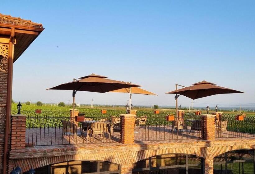 هتل Château Davitiani