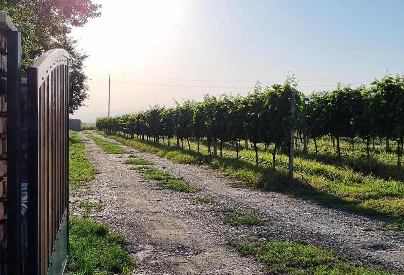 هتل Château Davitiani