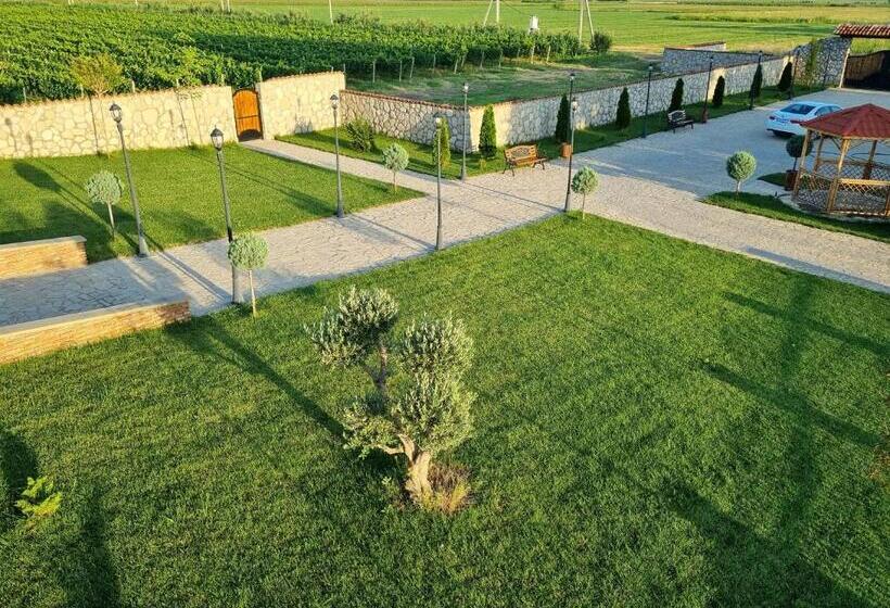 هتل Château Davitiani