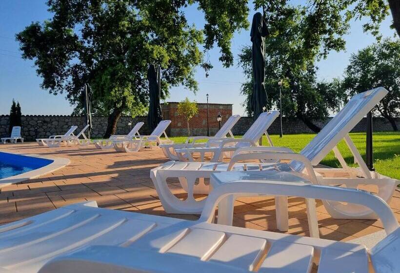 هتل Château Davitiani