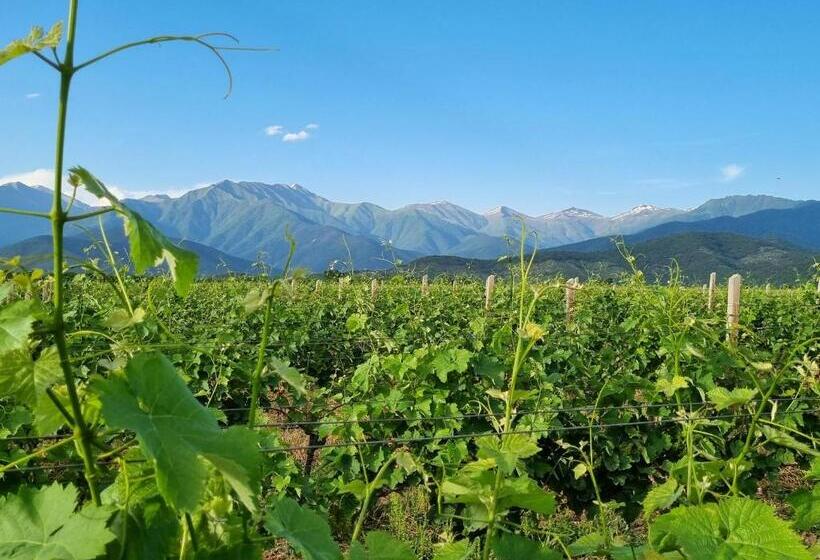 هتل Château Davitiani