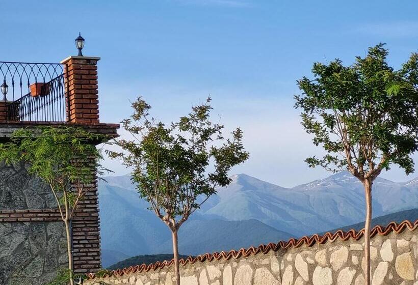 هتل Château Davitiani