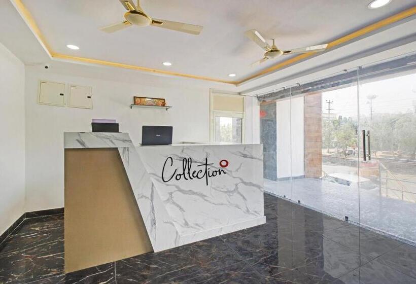 酒店 Collection O Living Tree