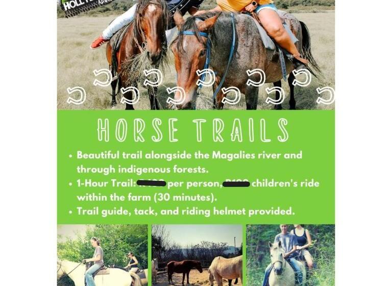 ホテル Hollybrooke Adventure Farm