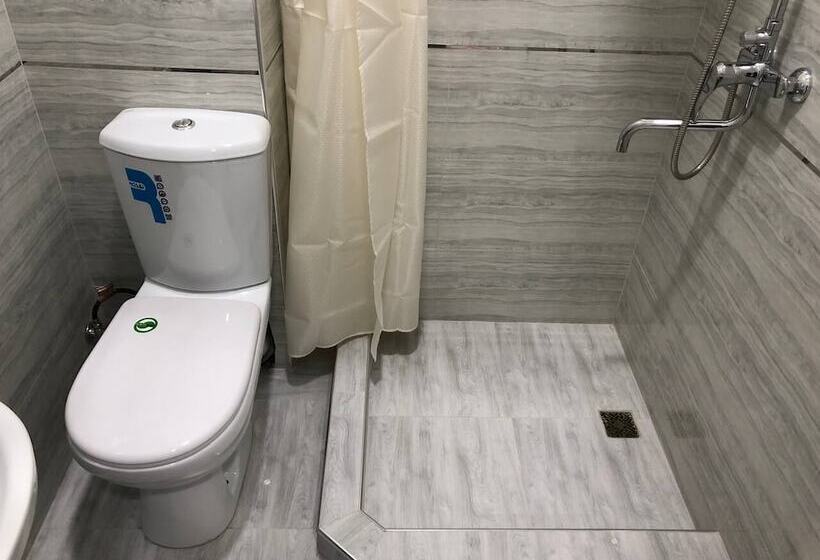 בית מלון כפרי Old Station