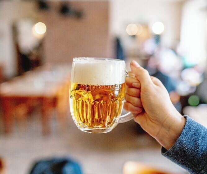 Отель Prácheň