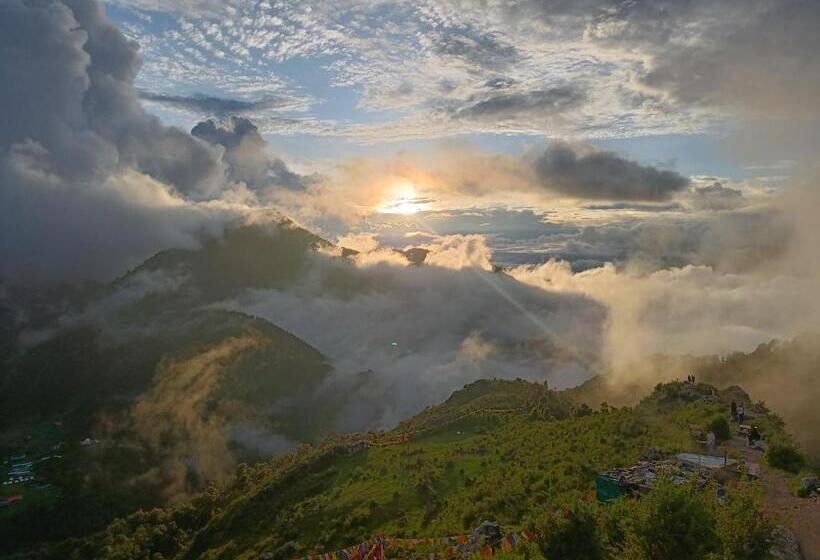 בית מלון כפרי The Sapling Manor